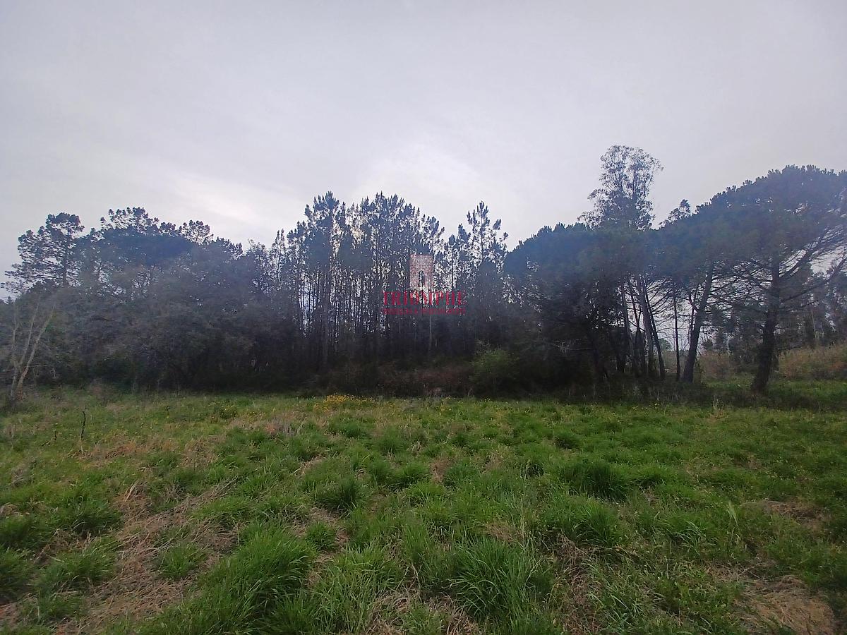 tlogo_20230330_1935059828