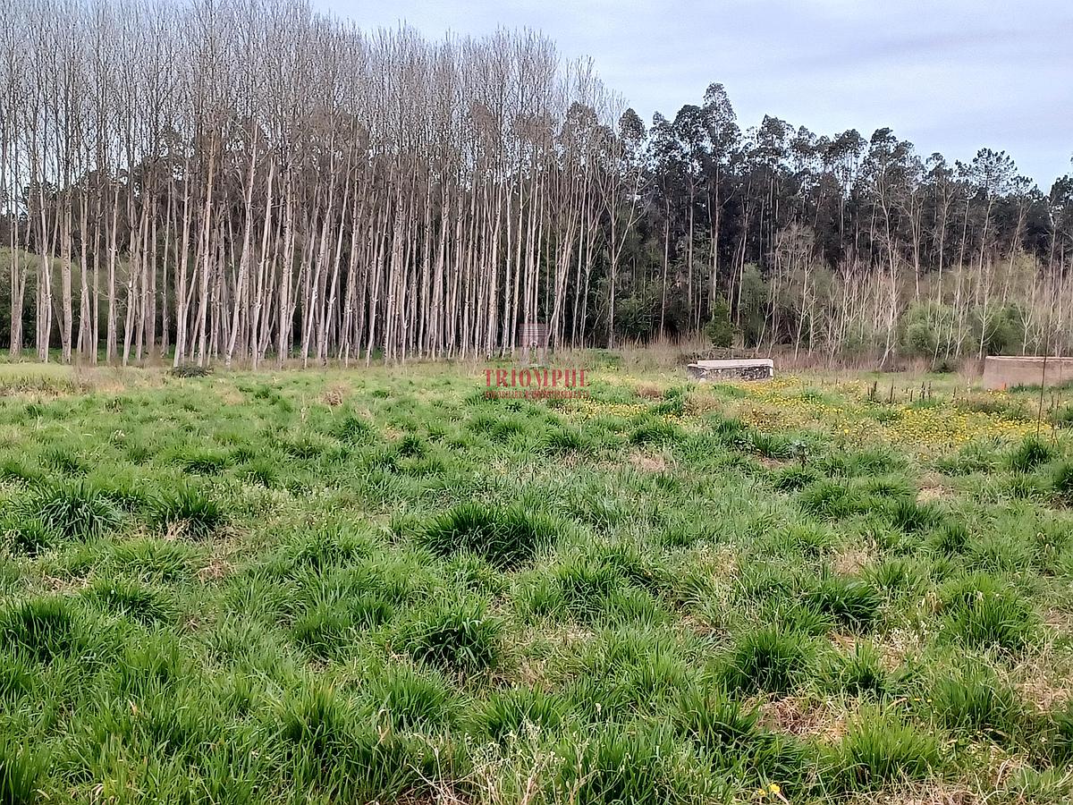 tlogo_20230330_1936471238