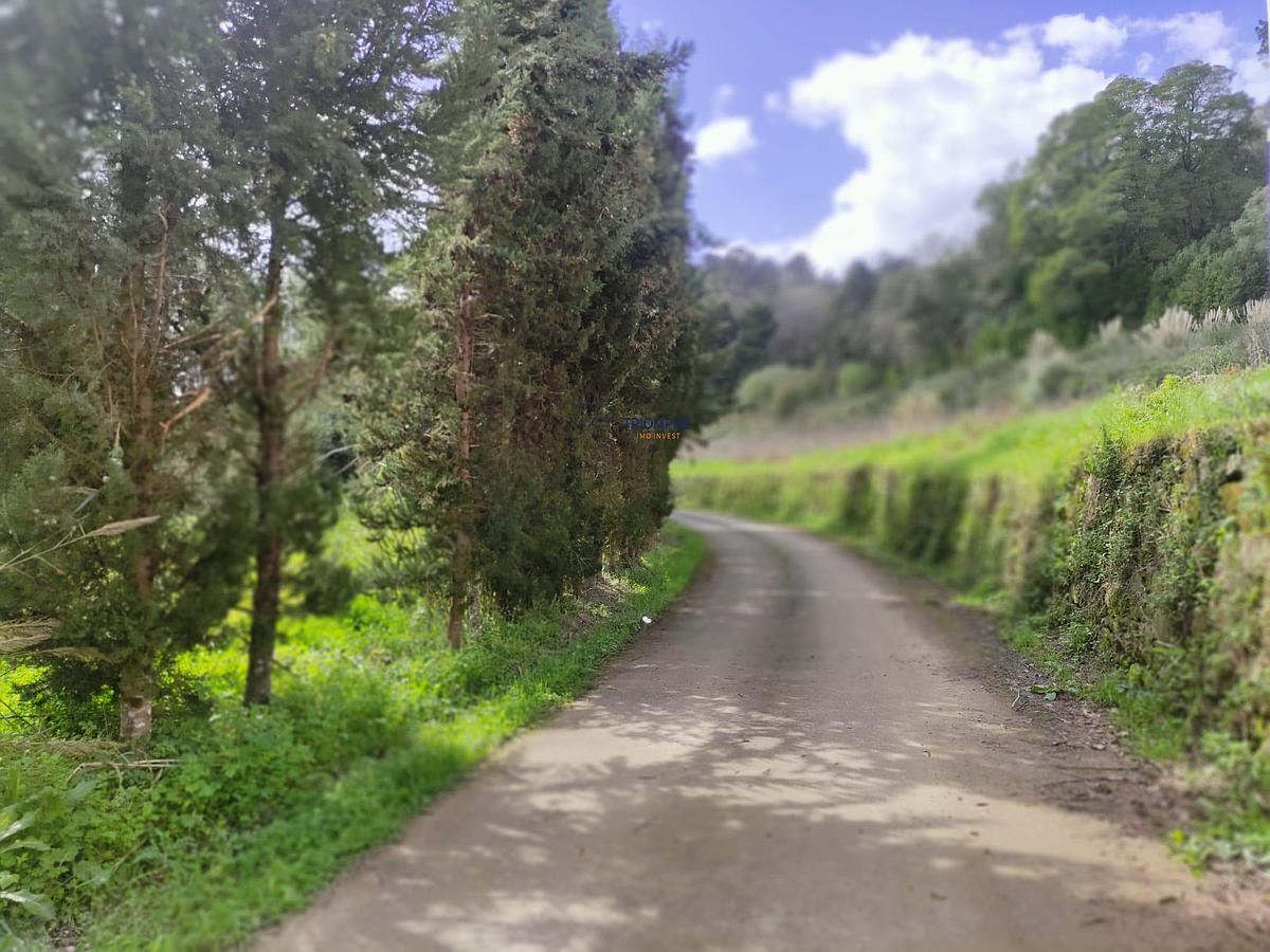 tlogo_303944