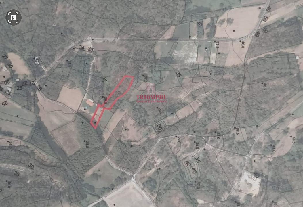 product_images_273632439