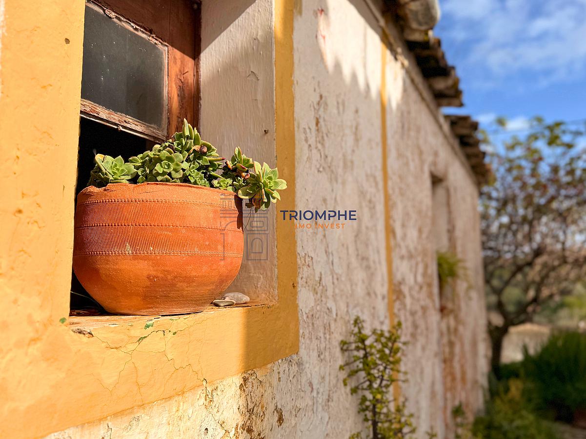 N- Ext façade latérale