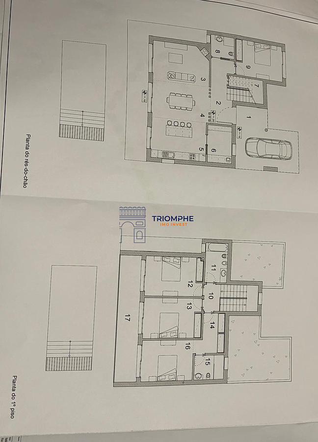 PLANTA 28299
