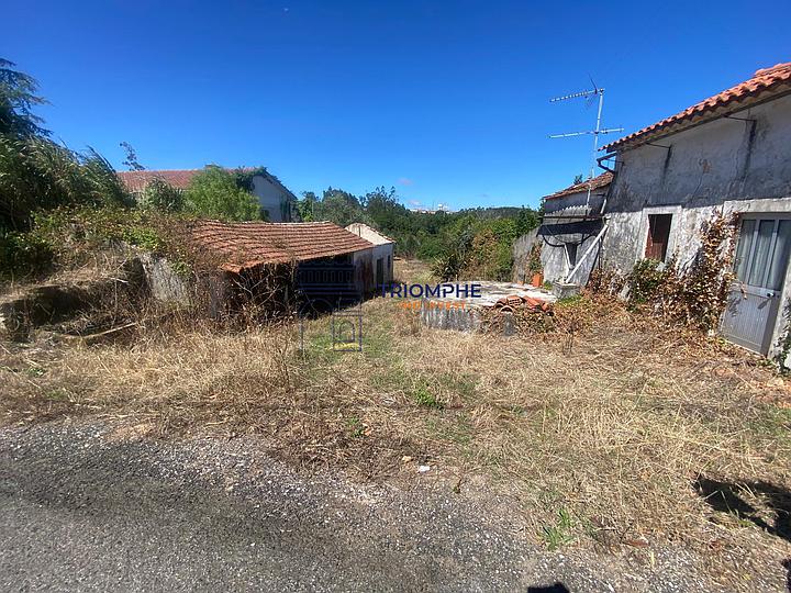 Real Estate