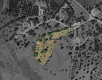 Online Gathering 0048958247