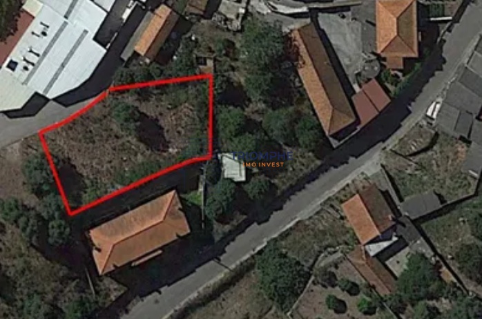 Real Estate