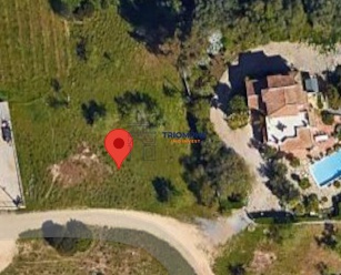 Real Estate