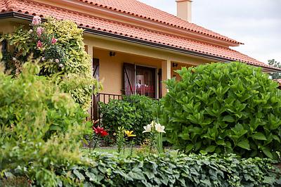 Farm with House and Land with Cherry trees