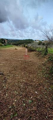Building Plot in Alcobaça