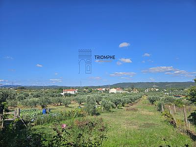 Estate on rustic land, with an urban parcel