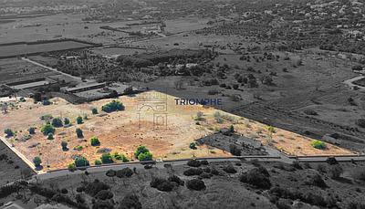 Land of 35,000 m² in Carvoeiro – Prime Location!
