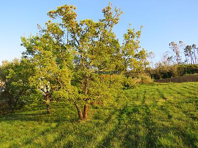 Terrain constructible à Parceiros, Leiria, d'une superficie de 1 640 m²